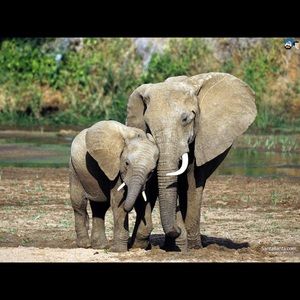 Meet your Posher, Katherine